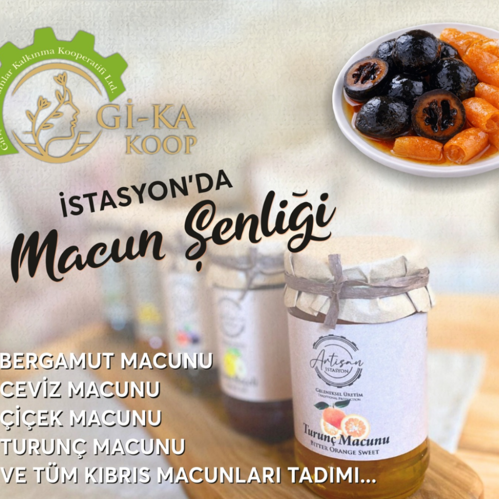 gİkad web resimler (13)