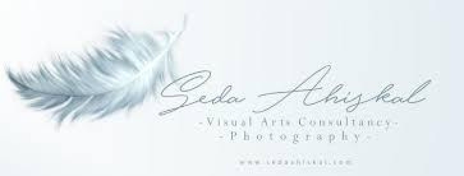seda ahiskal visual arts & consultancy